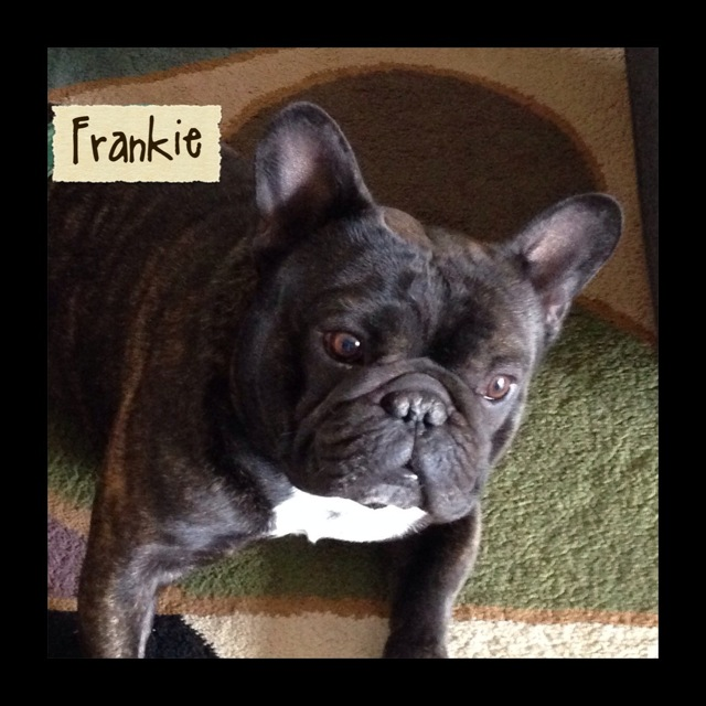 Frankie