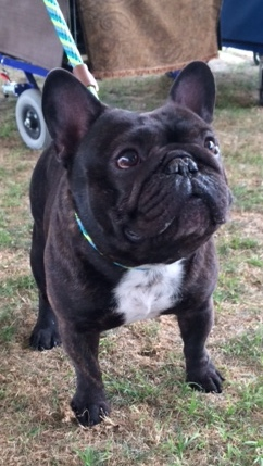 Frankie